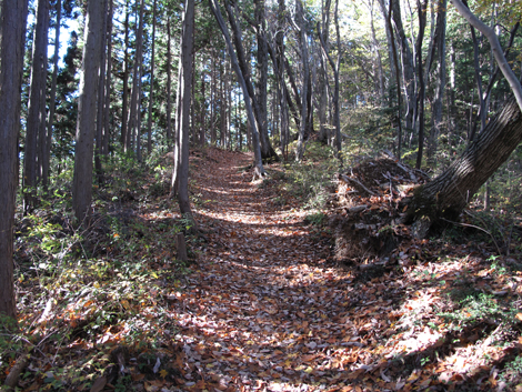 20151127hike (78)